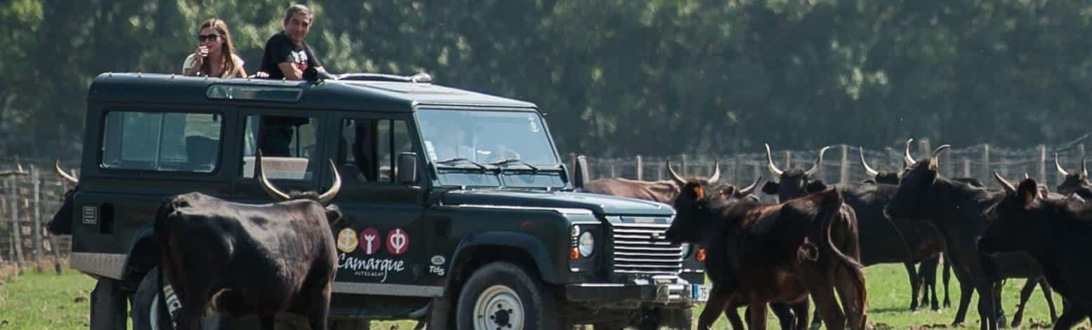 camargue-autrement-incentive-animations-vtt-4×4- camargue-autrement-incentive-animations-vtt-4x4-