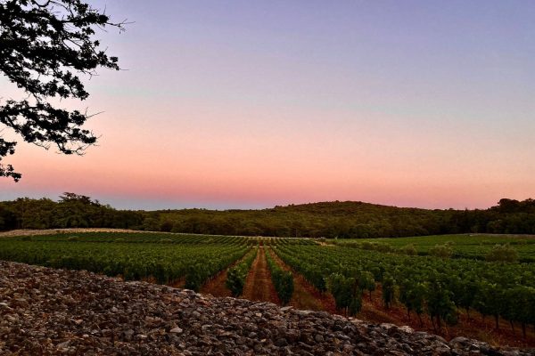 commanderie-de-peyrassol-var provence-sud-france-vignoble-oenotourisme-coucher-soleil-seminaires-de-caractere commanderie-de-peyrassol-var provence-sud-france-vignoble-oenotourisme-coucher-soleil-seminaires-de-caractere