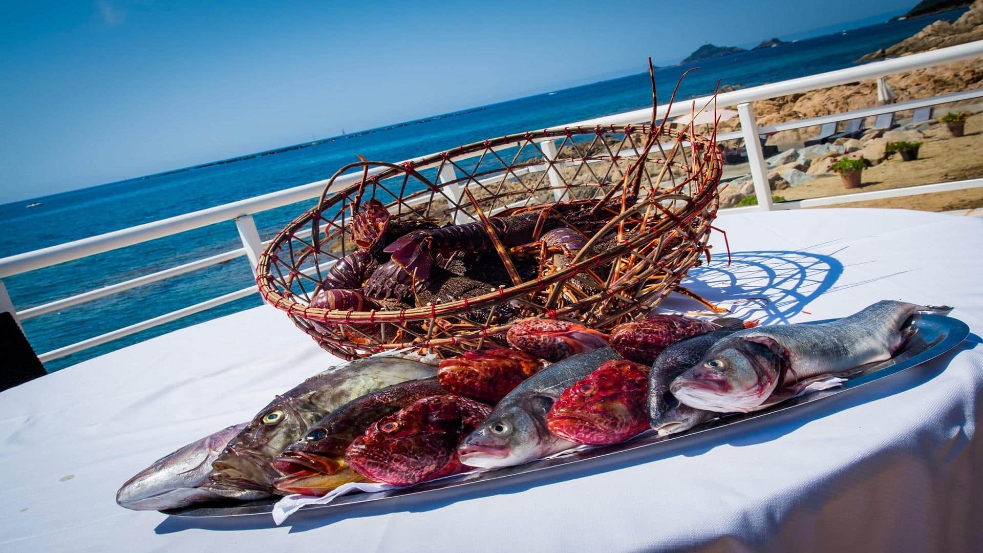 dolce-vita-ajaccio-route-des-sanguinaires-corse-du-sud-poissons-locaux-seminaires-de-caractere