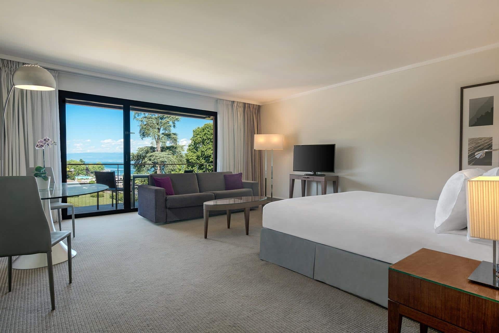 hilton-evian-les-bains-evian-incentive-lac-geneve-chambres-seminaires-de-caractere