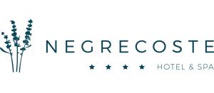 hotel-negrecoste-aix-en-provence-sud-france-logo-seminaires-de-caractere. hotel-negrecoste-aix-en-provence-sud-france-logo-seminaires-de-caractere.
