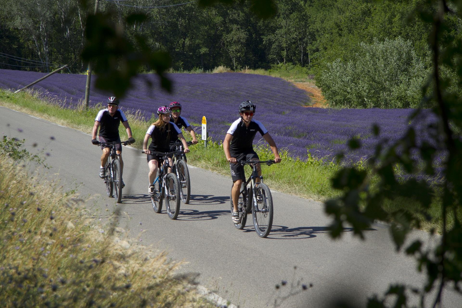 ride-and-more-travel-mont-ventoux-provence-luberon-cycling-incentive