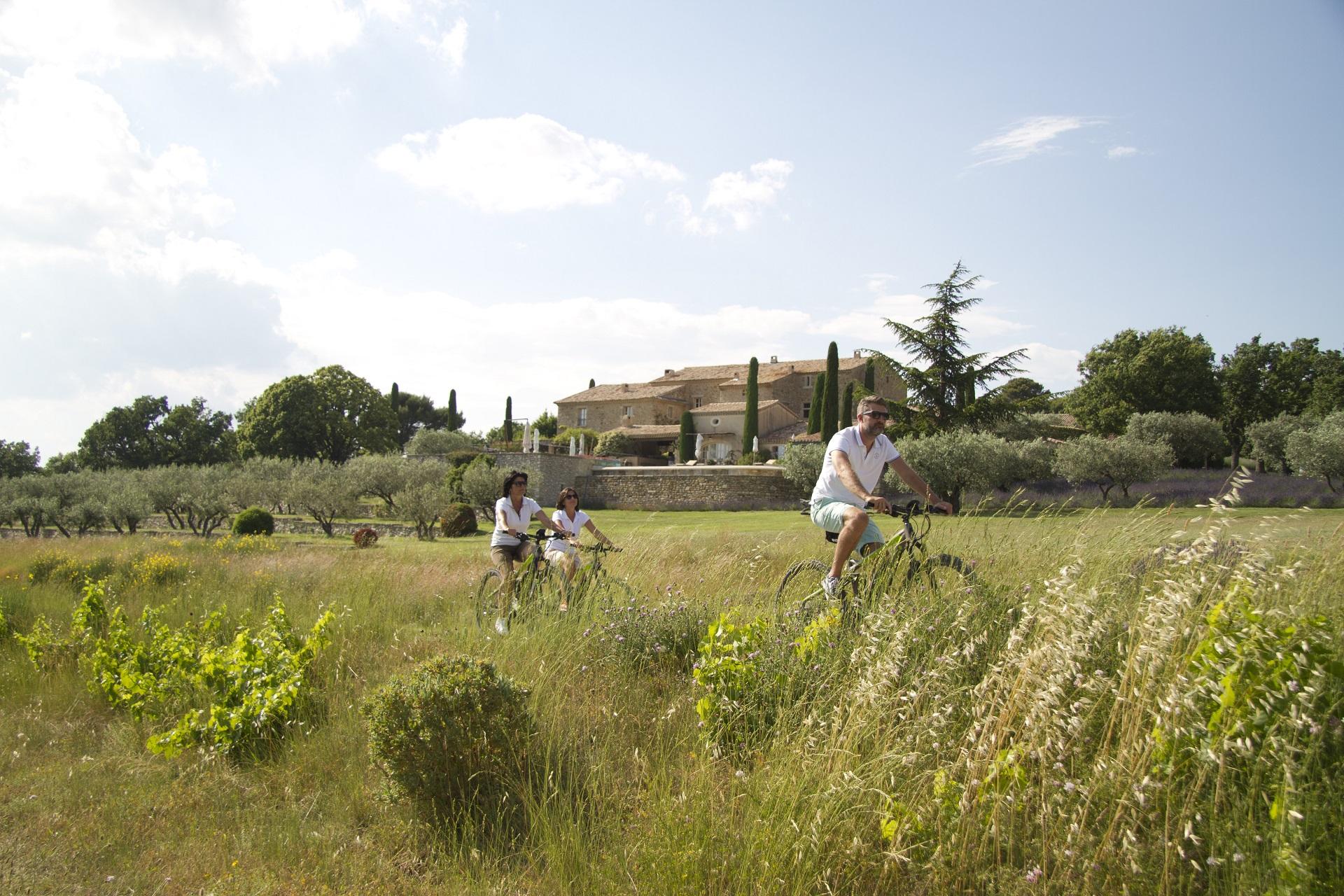ride-and-more-travel-mont-ventoux-provence-luberon-vaucluse