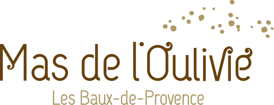 mas-de loulivie-seminaires-de-caractere