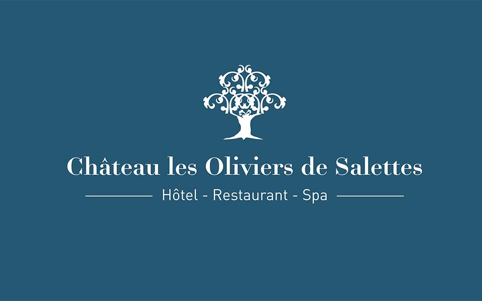 Chateau des oliviers de Salette