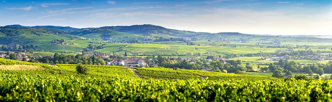 chateau-de-besseuil-bourgogne-beaujolais-lyon-seminaires-de-caractere