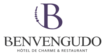 benvengudo-alpilles-seminaires-provence-les-baux-de-provence-seminaires-de-caractere-logo
