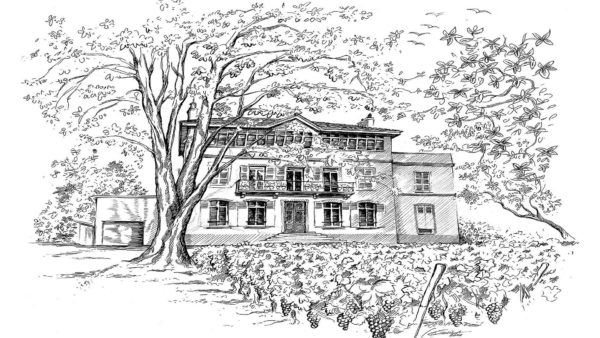 https://seminairecaracter.azddns.com/notre-maison/wine-school-by-fabrice-sommier-oenologie-universite-du-vin-atelier-degustation-bourgogne/