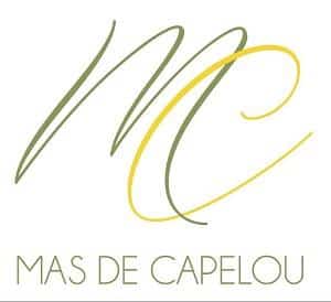 Mas de Capelou - Séminaires de Caractère