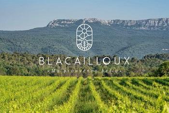domaine-de-blacailloux-aix-en-provence-marseille-var-sud-france-seminaires-de-caractere domaine-de-blacailloux-aix-en-provence-marseille-var-sud-france-seminaires-de-caractere
