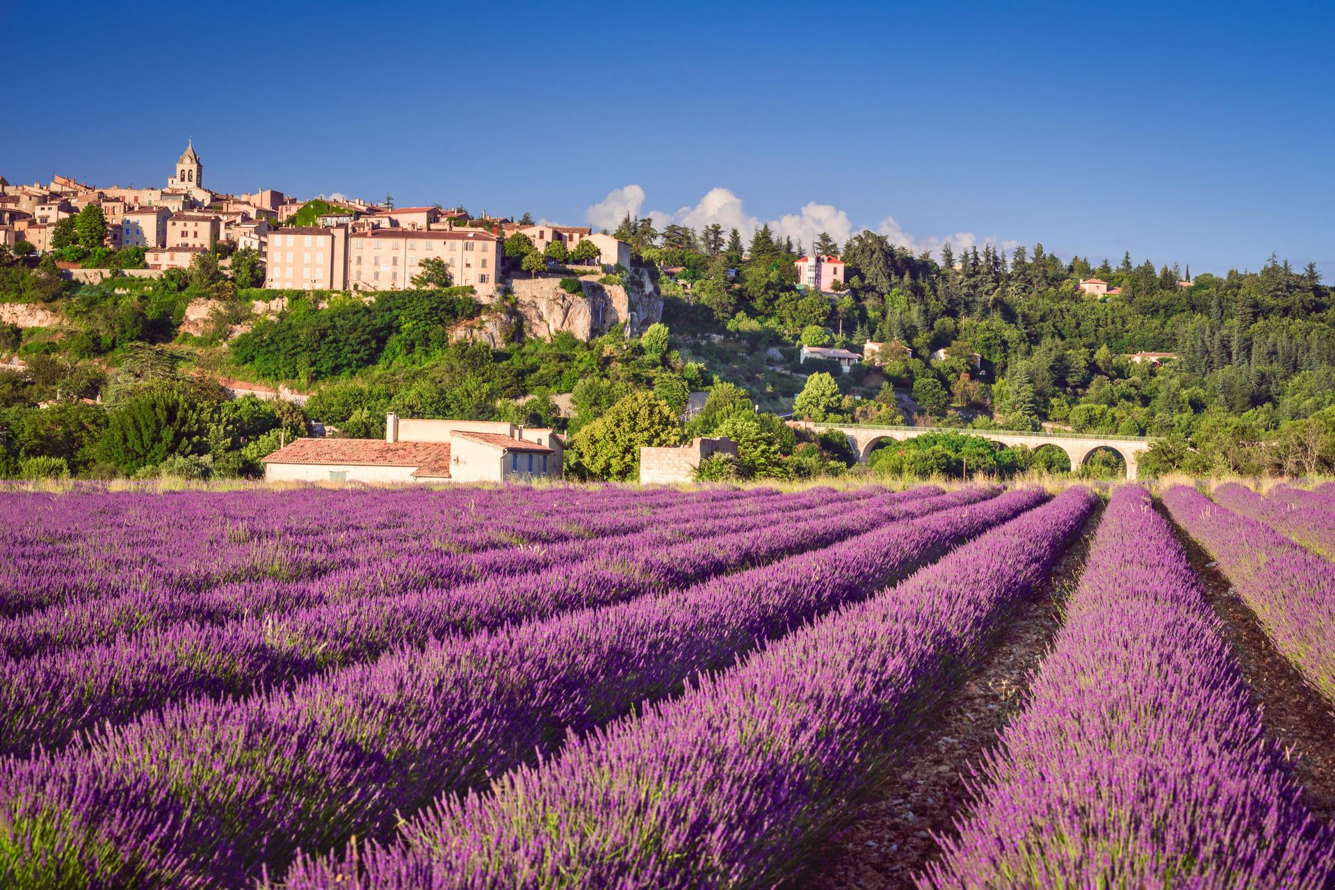 provence Provence