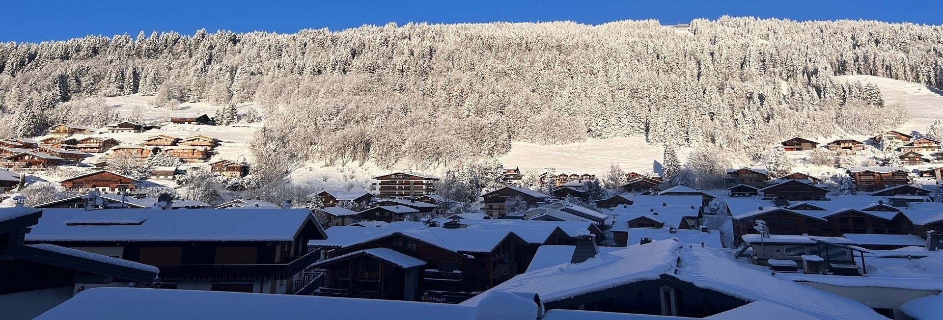 Chalet-La-Marmotte-Séminaires-de-Caractère Chalet-La-Marmotte-Séminaires-de-Caractère